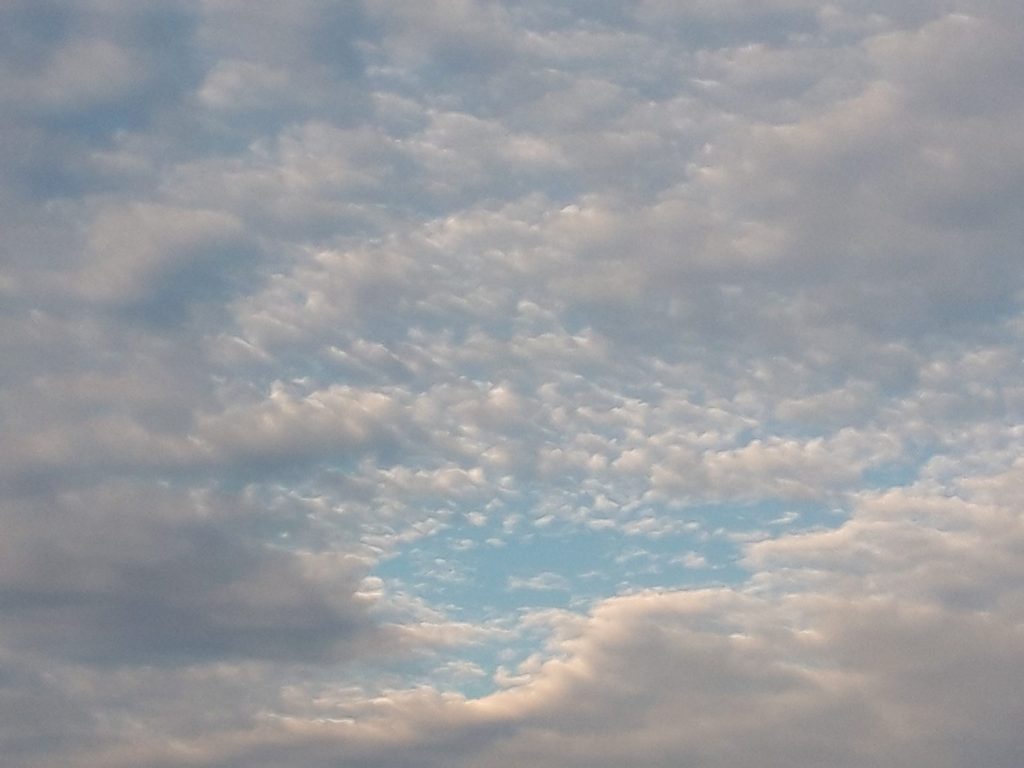 秋の空 株式会社みのり